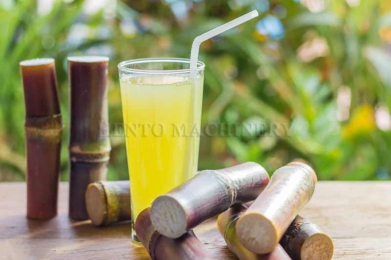 Sugarcane Juicer Sugarcane Juicer