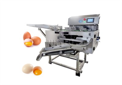 Macchina automatica per la separazione delle uova e del tuorlo di vendita cal...