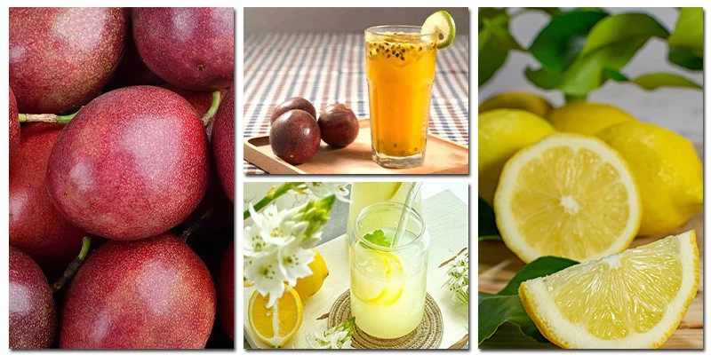 Lemon Juice Squeezer Lemon Juice Squeezer